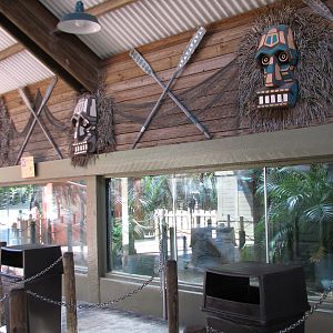 Congo - Squirrel Monkey Exhibit