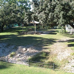 Congo - Sable Antelope Exhibit