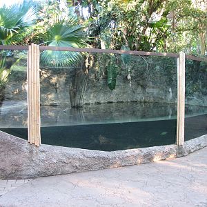 Curiosity Caverns - American Alligator and Turtle Exhibit