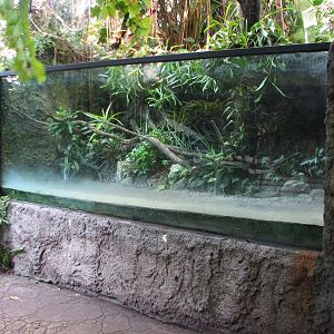 Curiosity Caverns - Empty Exhibit