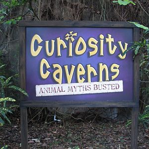 Curiosity Caverns - Sign