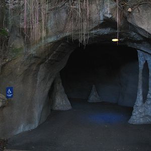 Curiosity Caverns - Entrance