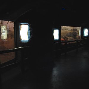 Curiosity Caverns - Interior