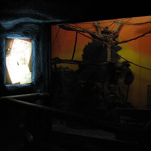 Curiosity Caverns - Greater Bush Baby Exhibit 2