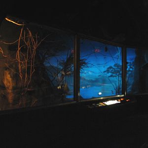 Curiosity Caverns - Leaf-nosed Fruit Bat Exhibit