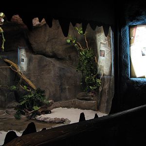 Curiosity Caverns - Honduran Milksnake Exhibit