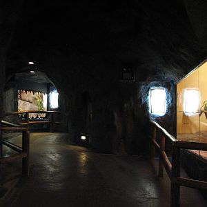Curiosity Caverns - Interior