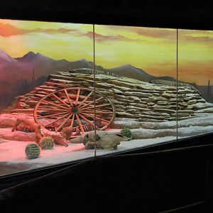 Curiosity Caverns - Gila Monster Exhibit