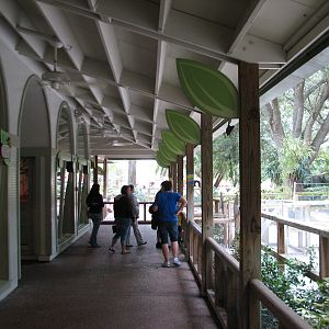 Jambo Junction - Viewing Porch