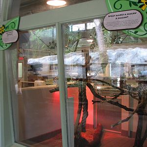 Jambo Junction - Red-footed Tortoise and Macaw Exhibit