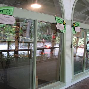 Jambo Junction - Rock Hyrax Exhibits