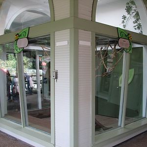 Jambo Junction - Two-toed Sloth Exhibit Exhibit