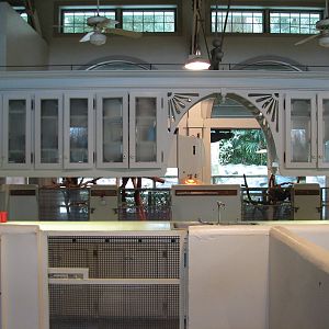 Jambo Junction - Interior