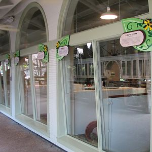 Jambo Junction - Viewing Porch