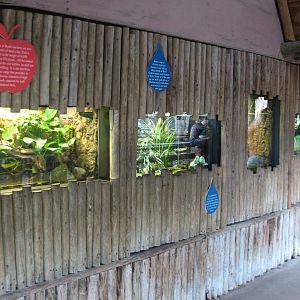 Jambo Junction - Reptile Exhibits