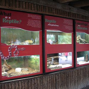 Jambo Junction - Reptile Exhibits