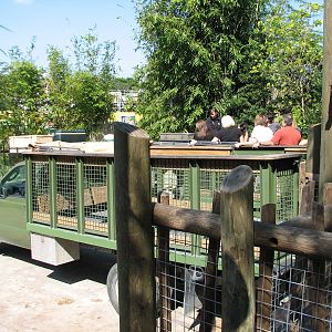 Nairobi - Serengeti Safari Base Camp