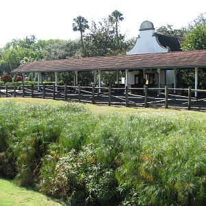 Nairobi - Serengeti Express Train Station