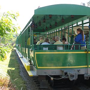 Nairobi - Serengeti Express Train