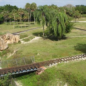 Nairobi - Serengeti Express Train in Serengeti Plain