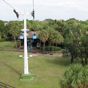 Nairobi - Skyride with Ankole Cattle Exhibit Below