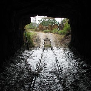 Rhino Rally - Roadway Tunnel