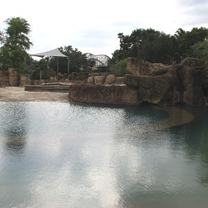 Rhino Rally - Asian Elephant Exhibit - Swimming Pool and Lake