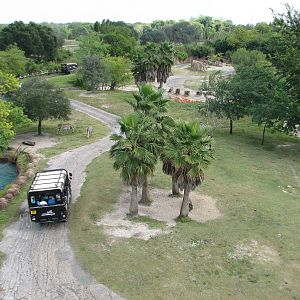 Rhino Rally - Scimitar-horned Oryx, Mountain Zebra, and Flamingo Exhibit