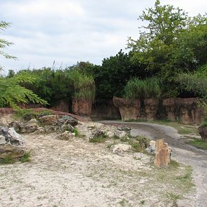 Rhino Rally - White Rhinoceros Exhibit