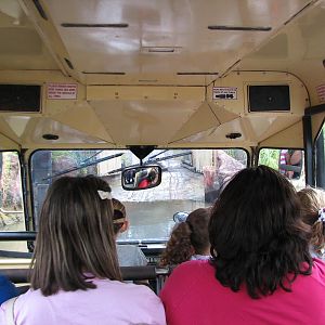 Rhino Rally - Nile Crocodile Exhibit