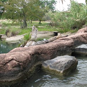 Rhino Rally - Nile Crocodile Exhibit