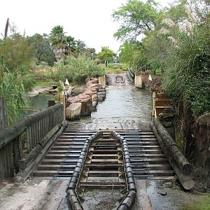 Rhino Rally - Nile Crocodile Exhibit Submerged Roadway