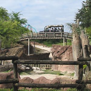 Asian Elephant Exhibit