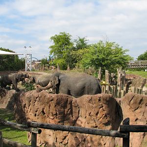 Asian Elephant Exhibit