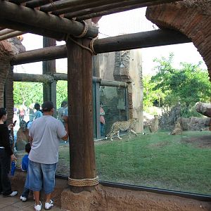 Cheetah Run - Viewing Shelter