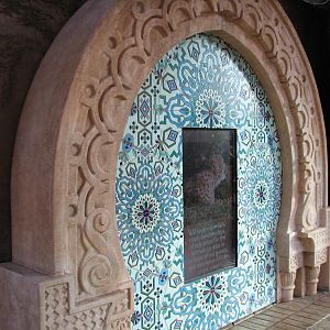 Cheetah Run - Viewing Temple