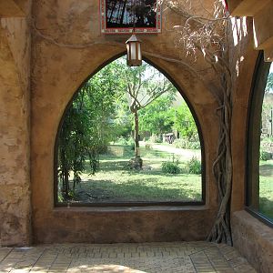 Cheetah Run - Viewing Temple