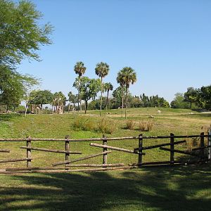 Edge of Africa - View of Serengeti Plain