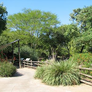 Edge of Africa - Serengeti Plain Waterhole Viewing Area