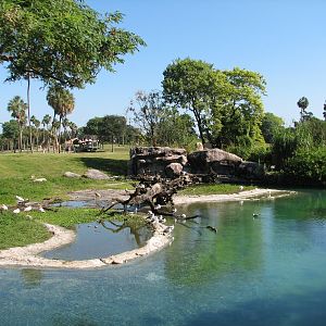 Edge of Africa - Serengeti Plain Waterhole