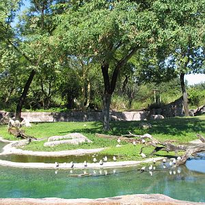 Edge of Africa - Serengeti Plain Waterhole