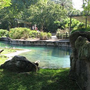 Edge of Africa - Serengeti Plain Waterhole