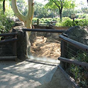 Edge of Africa - Meerkat Exhibit
