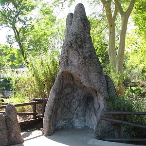 Edge of Africa - Simulated Termite Mound