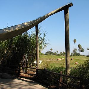 Edge of Africa - Serengeti Plain Viewing Area