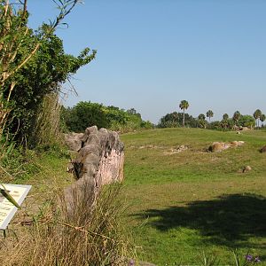 Edge of Africa - View of Serengeti Plain