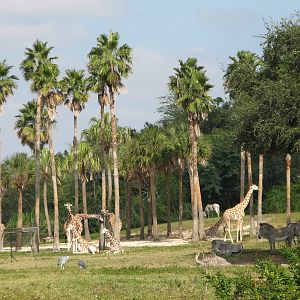 Edge of Africa - View of Serengeti Plain