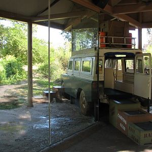 Edge of Africa - African Lion or Spotted Hyena Exhibit - Viewing Area