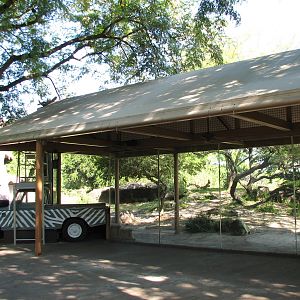 Edge of Africa - African Lion or Spotted Hyena Exhibit - Viewing Area