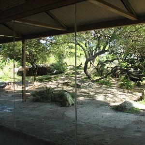 Edge of Africa - African Lion or Spotted Hyena Exhibit - Viewing Area